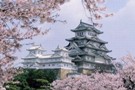 日本務工現狀分析