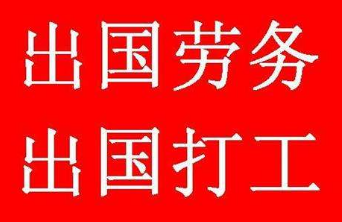 揭秘中國人出國打工的真實收入和現狀
