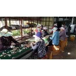 出國打工，一年能攢15萬？先看看自己的自身的情況吧