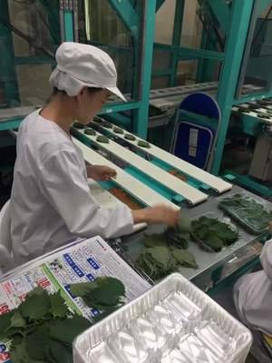 出國工作的“深坑”，你是真的清楚嗎？
